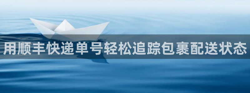 28圈预测加拿大师准