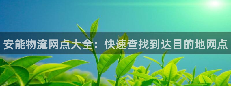 28圈p扣除是什么意思